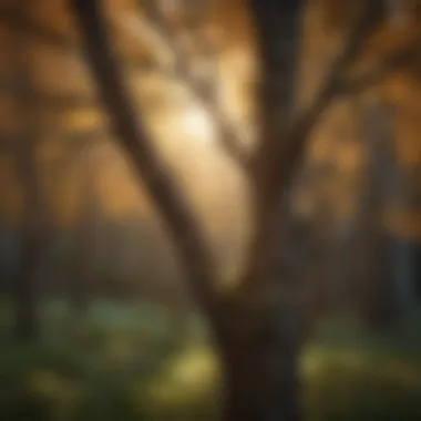 Nature's Ties: Symbolism of Connection Intertwined branches symbolizing connections